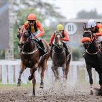 Pacuan Kuda Nasional 2026 Masuk Seri Bergengsi Triple Crown