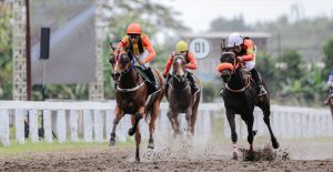 Pacuan Kuda Nasional 2026 Masuk Seri Bergengsi Triple Crown