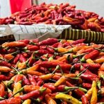 Harga Cabai Rp120 Ribu, Pasokan Impor Tiba Pekan Depan