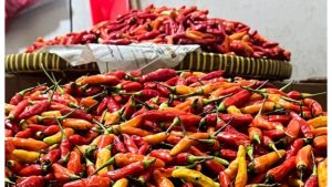 Harga Cabai Rp120 Ribu, Pasokan Impor Tiba Pekan Depan