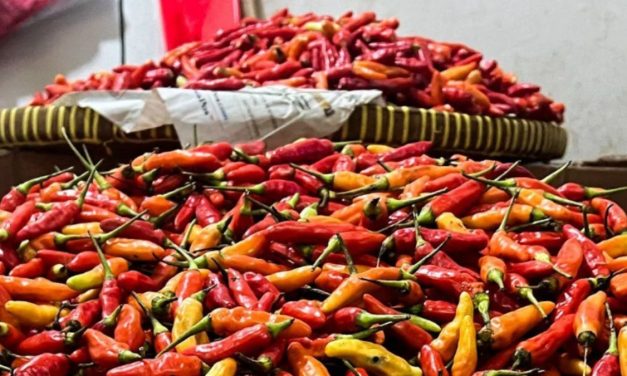 Harga Cabai Rp120 Ribu, Pasokan Impor Tiba Pekan Depan