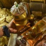 Cara Membedakan Kualitas Minyak Goreng Curah Vs Kemasan