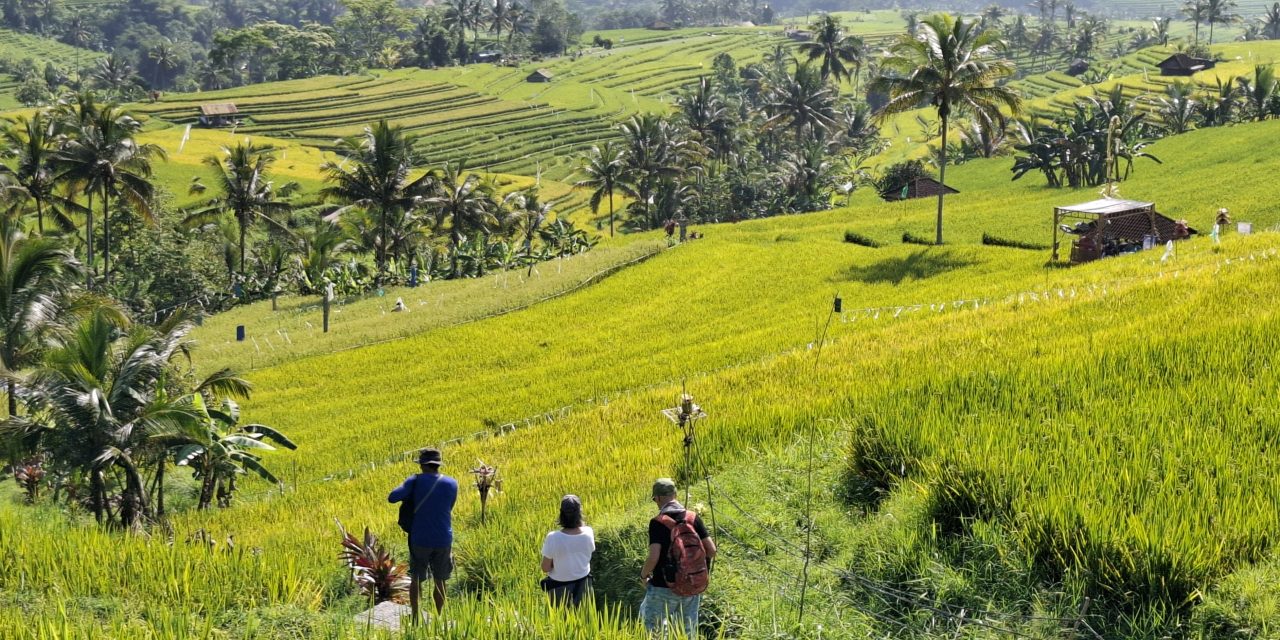 Strategi Pengendalian Over-Tourism Di Lahan Subak Canggu