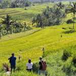 Strategi Pengendalian Over-Tourism Di Lahan Subak Canggu