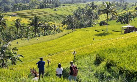 Strategi Pengendalian Over-Tourism Di Lahan Subak Canggu