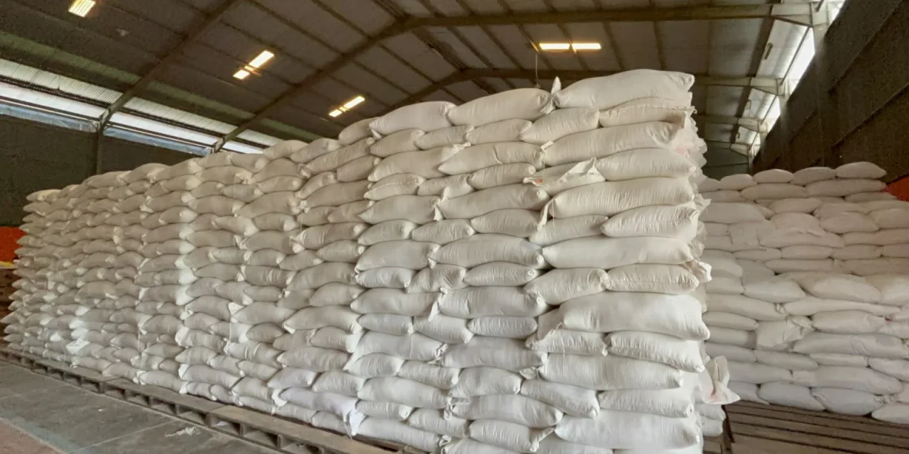 Bulog Madiun Catatkan Surplus Stok Beras Capai 4.897 Ton