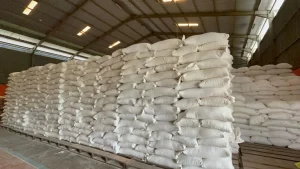 Bulog Madiun Catatkan Surplus Stok Beras Capai 4.897 Ton
