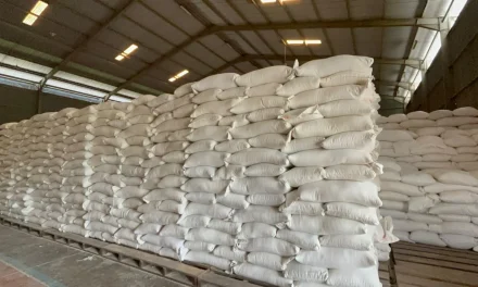 Bulog Madiun Catatkan Surplus Stok Beras Capai 4.897 Ton