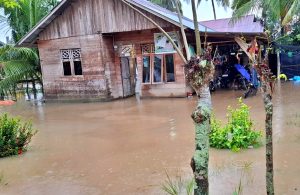 Kondisi Darurat Aceh Timur: Banjir Bandang 1,5m Di Idi Rayeuk