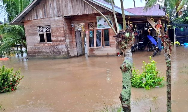 Kondisi Darurat Aceh Timur: Banjir Bandang 1,5m Di Idi Rayeuk