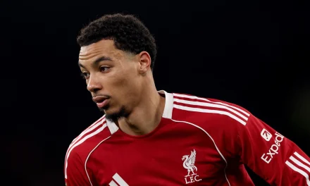 Liverpool Pantau Pemulihan Cedera Hugo Ekitiké Jelang Latihan