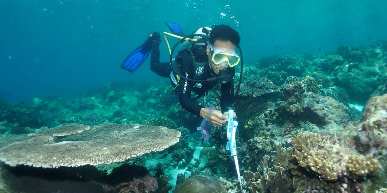 Rahasia Ekosistem Laut Dalam Banda Yang Terungkap Lewat ROV