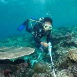 Rahasia Ekosistem Laut Dalam Banda Yang Terungkap Lewat ROV