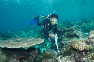 Rahasia Ekosistem Laut Dalam Banda Yang Terungkap Lewat ROV