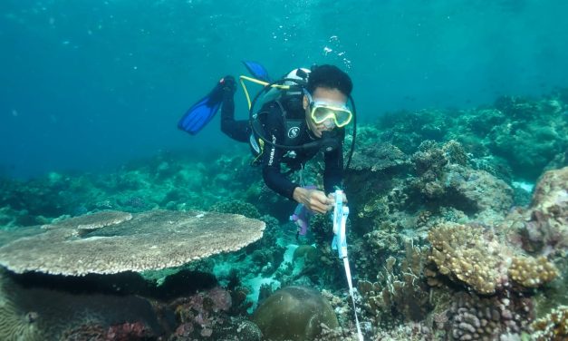 Rahasia Ekosistem Laut Dalam Banda Yang Terungkap Lewat ROV